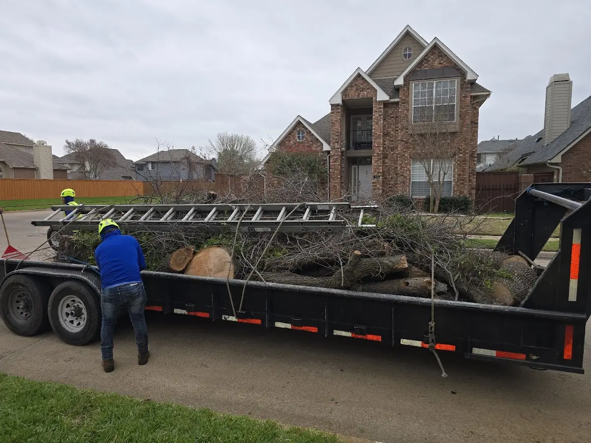 Expert Lot Clearing with proper safety equipment in Prospect